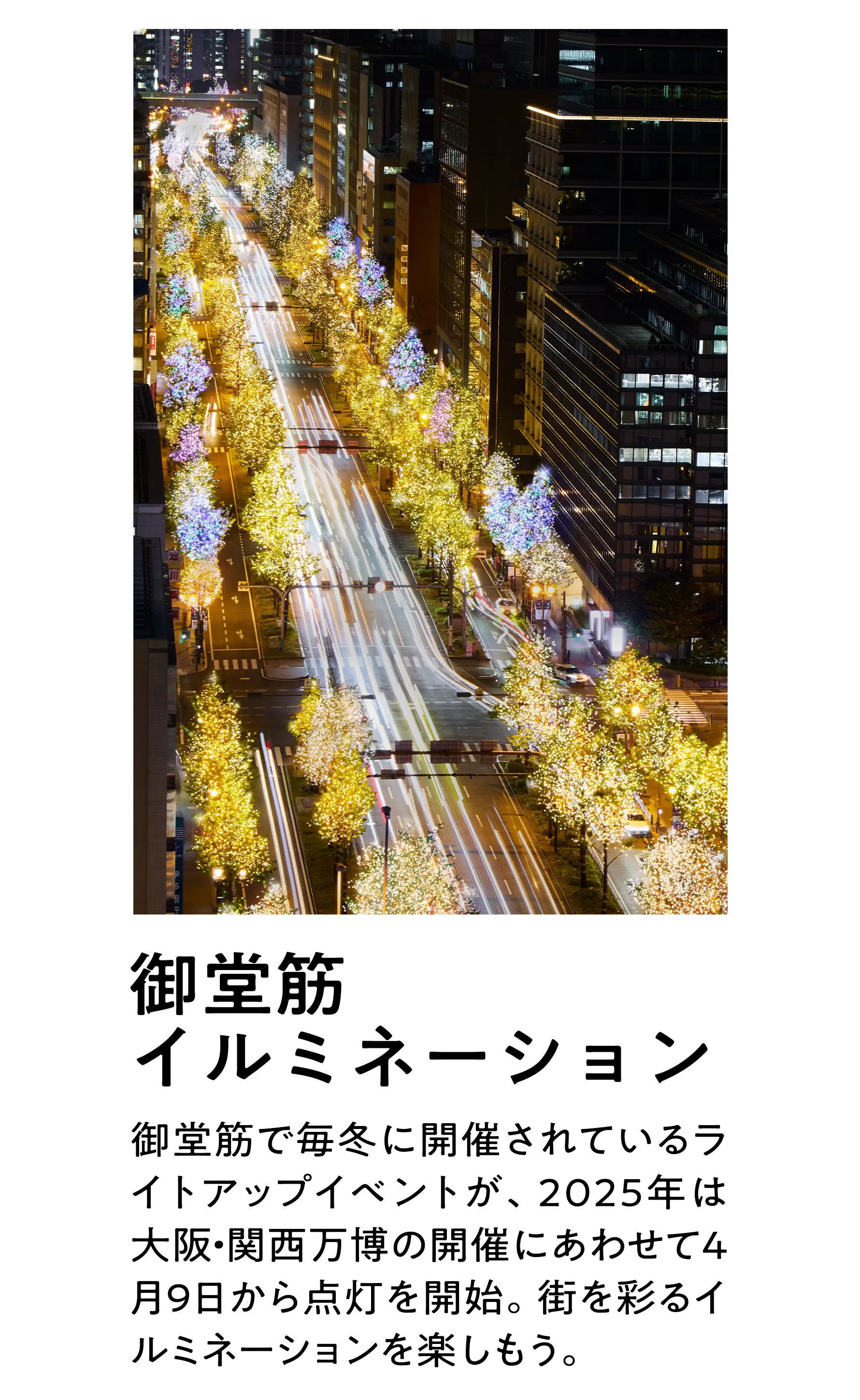 御堂筋のイルミネーション
